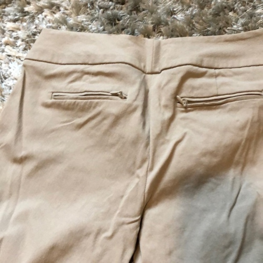 Limited Brand Exact Stretch Khakis image 2